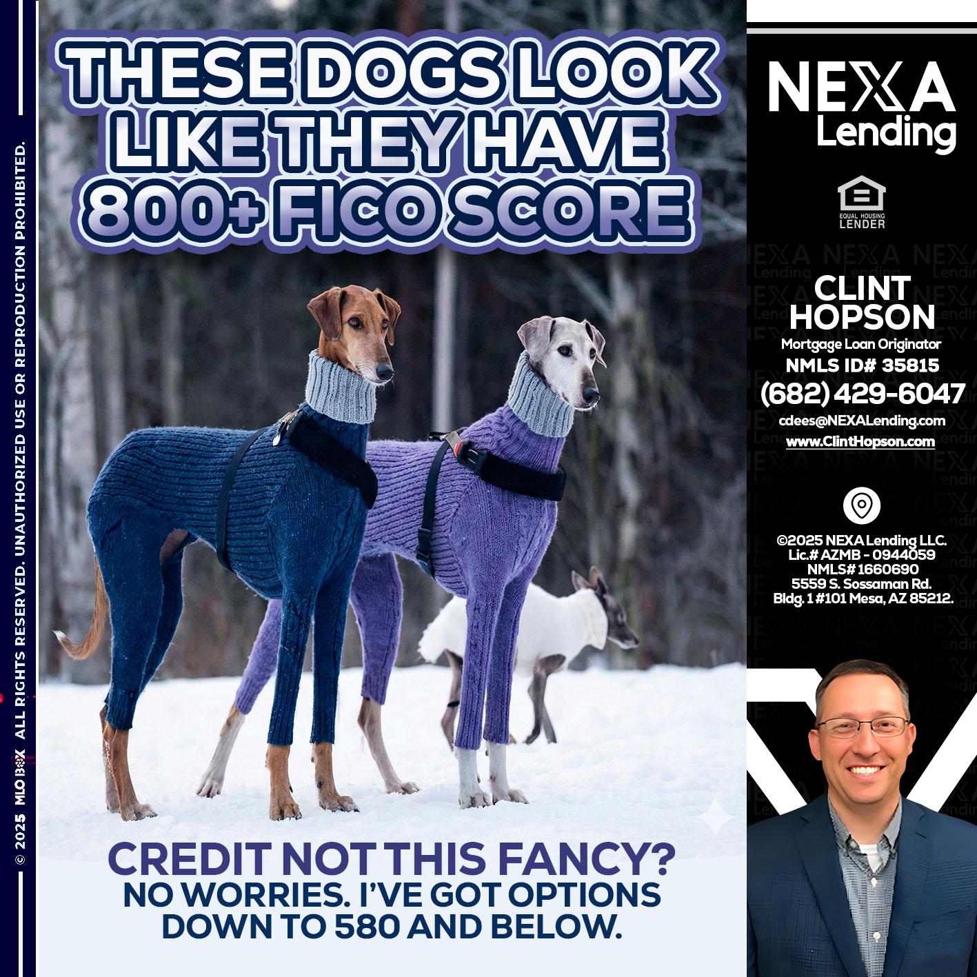 THESE DOGS LOOK - Clint Hopson -Mortgage Loan Originator